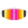 Image de Cerf-volant de traction Dragon Fly Gilavar 140 cm - Pour adulte - Force de traction 20 kg