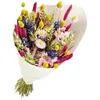 Image de Bouquet de Fleurs séchées Dandy Mix couleurs 50 cm