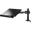 Image de NEWSTAR Support de bureau NOTEBOOK-D100 - Pour notebook