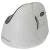 Image de Souris bluetooth Evoluent Verticale 4 - BAKKERELKHUIZEN - Gris - Sans fil - Optique - 2600 DPI