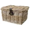 Image de Panier Vélo en Rotin - FASTRIDER - Sera - Beige - Avec Couvercle et Poignées