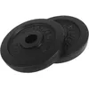 Image de TUNTURI Disque musculation 2.50kg noir la paire