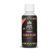 Image de Engrais floraison Flowa Bloom 250ml - BIOBIZZ