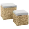 Image de Repose-pied - vidaXL - Jacinthe deau - 2 pcs - Gris - Confortable et pratique