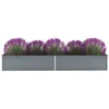 Image de vidaXL Lit surélevé de jardin Acier galvanisé 320x80x45 cm Gris