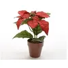 Image de Plante artificielle - KAEMIN - Poinsettia en pot - Rouge - DIA30X27CM - Design contemporain