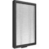 Image de Philips SaniFilter Plus 100 Filtre de rechange