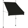 Image de vidaXL Auvent manuel rétractable 100 cm anthracite 145832