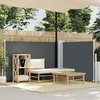 Image de vidaXL Auvent latéral rétractable Anthracite 100 x 600 cm