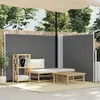 Image de vidaXL Auvent latéral rétractable Anthracite 140 x 600 cm