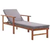Image de vidaXL Chaise longue et coussin Résine tressée et bois dacacia Gris