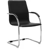 Image de vidaXL Chaise de Bureau Cantilever Fauteuil de Bureau avec Accoudoirs Siège de Bureau Chaise pour Office Ergonomique Maison 289355