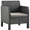 Image de vidaXL Chaise de jardin avec coussin PP Anthracite