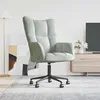Image de vidaXL Chaise de Relaxation Fauteuil de Détente Siège de Relaxation Chaise de Détente Salon Salle de Séjour Intérieur Gris 328172