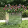 Image de vidaXL Lit Surélevé de Jardin Jardinière Bac à Fleurs Pot de Plantes Lit de Plantation Balcon Extérieur 100x40x77 cm Acier 316896