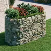 Image de vidaXL Lit Surélevé à Gabion Parterre de Fleurs Support de Plante Jardinière Pot de Fleurs Jardin Terrasse Extérieur Fer 152045