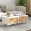 Image de vidaXL Table basse Blanc 80x40x30 cm Bois dingénierie et pin massif 345621