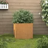 Image de vidaXL Jardinière Rouillé 49x47x46 cm Acier corten 821551