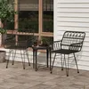 Image de 319427 vidaXL Chaises de jardin 2 pcs avec accoudoir Noir 56x64x80 cm