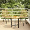 Image de 319428 vidaXL Chaises de jardin 2 pcs 48x62x84 cm Résine tressée