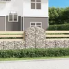 Image de vidaXL Panier de Gabions Arqué Cage à Gabion Mur de Gabion Panier à Pierre Gabion pour Pierre Jardin Patio Extérieur 153436