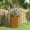 Image de vidaXL Jardinière Bac à Fleurs Pot de Plantes lit Surélevé Décoration de Jardin Terrasse Patio Balcon Extérieur Rouillé 823674