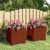 Image de vidaXL Jardinières avec pieds 2 pcs Rouillé 30x30x30 cm Acier corten 823679