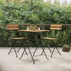 Image de 319979 vidaXL Chaises de bistrot pliantes 2 pcs Bois de teck solide et acier