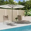 Image de vidaXL Lot de 2 Chaises Longues Pliables Bain de Soleil Transat de Terrasse Siège de Jardin Patio Extérieur Taupe 360186