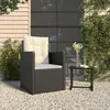 Image de 362322 vidaXL Fauteuil de jardin avec coussins Noir Résine tressée