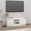 Image de vidaXL Meuble TV avec porte Blanc 102x30x36 cm 823350