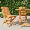 Image de vidaXL Chaises de jardin pliantes 2 pcs 47x47x89 cm bois massif teck 362757