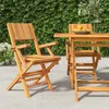 Image de vidaXL Chaises de jardin pliantes 2 pcs 55x61x90 cm bois massif teck 362760