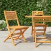 Image de vidaXL Chaises de jardin pliantes lot de 2 47x62x90cm bois massif teck 362761