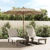 Image de vidaXL Parasol de jardin avec mât en bois taupe 299x240 cm 363170