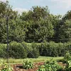 Image de vidaXL Clôture en Treillis Métallique Panneau de Clôture Décoratif Barrière de Protection Jardin Patio Extérieur 154222