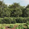 Image de vidaXL Clôture en Treillis Métallique Panneau de Clôture Décoratif Barrière de Protection Jardin Patio Extérieur 154228