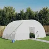Image de vidaXL Serre avec cadre en acier blanc 24 m² 6x4x285 m polytunnel serre à cadre froid serre pour tomate serre de 3188116