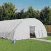 Image de vidaXL Serre avec cadre en acier blanc 72 m² 12x6x285 m polytunnel serre à cadre froid serre pour tomate serre de 3188120