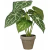 Image de Plante décorative - MICA DECORATIONS - Caladium - Ø 21 cm - Hauteur 28 cm - Artificielle