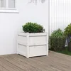 Image de vidaXL Jardinière Lit Surélevé Bac à Fleurs Pot de Plantes Boîte à Fleurs Jardin Patio Terrasse Blanc 50x50x50 cm Bois 837416