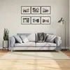 Image de vidaXL Tapis à Poils Courts Doux et Lavable Moquette de Sol Tapis de Zone Carpette de Salon Salle de Séjour Chambre 375038