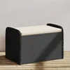 Image de vidaXL Banc de Rangement avec Coussin Coffre à Jouets Meuble de Rangement Organisateur de Jardin Terrasse Patio Noir 365730