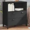 Image de vidaXL Bibliothèque Armoire à Livres avec Tiroirs et Compartiment Meuble de Rangement Salon Chambre Industiel Noir Bois 374945