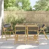 Image de vidaXL Chaises de bistro pliantes lot de 6 coussins gris foncé bambou chaise de bistro de jardin chaise de balcon chaise 3208926