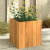 Image de vidaXL Jardinière 25x25x25 cm bois massif dacacia 366500