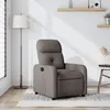 Image de vidaXL Fauteuil Inclinable Chaise avec Repose-pieds Siège avec Dossier et Accoudoirs Meuble de Salle de Séjour Moderne 374204