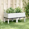 Image de vidaXL Jardinière avec Pieds Lit Surélevé Bac à Fleurs Pot de Plantes Jardin Patio Terrasse Arrière-cour Extérieur Blanc 367894