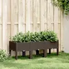 Image de vidaXL Jardinière avec Pieds Lit Surélevé Bac à Fleurs Pot de Plantes Jardin Patio Terrasse Arrière-cour Extérieur 367900