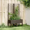 Image de vidaXL Jardinière avec Treillis Lit Surélevé de Jardin Pot de Fleurs Bac à Plantes Boîte de Plantation Patio Terrasse 367925